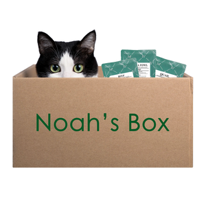 Noah's Box